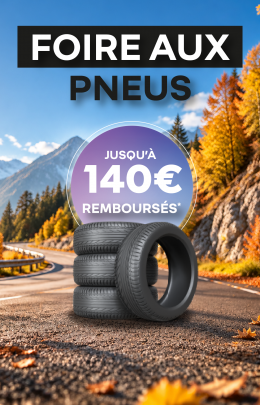 Tuile Bodemerauto - FAP _Tuile FAP copie 2.png
